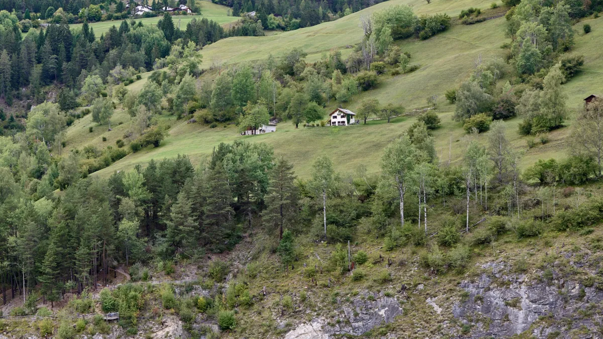 Schmitten (FR) – Immobilien auf NAVIMO