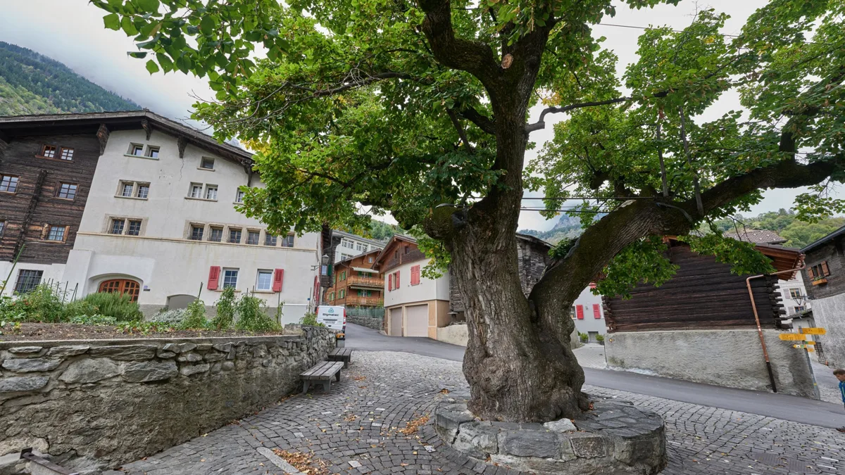 Naters – Immobilien auf NAVIMO