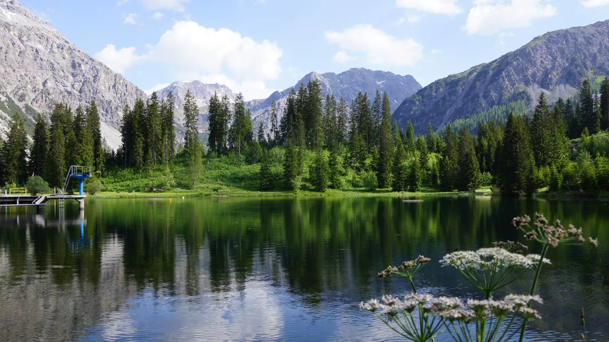 Weinfelden und Untersee – Immobilienmarkt auf NAVIMO
